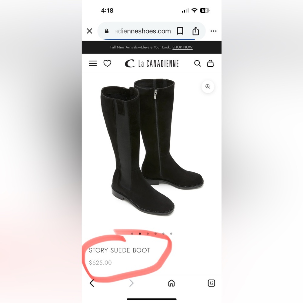 La CANADIENNE Black suede Boots - Picture 3 of 15